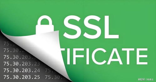 2025年濟南網(wǎng)站建設公司推薦